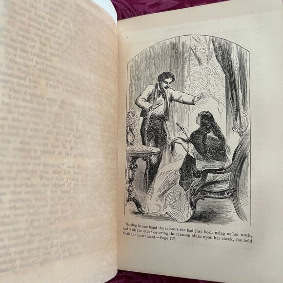 1865 The Tiger-Hunter; or, A Hero in Spite of Himself by Capt. Mayne Reid - Picture 7 of 10